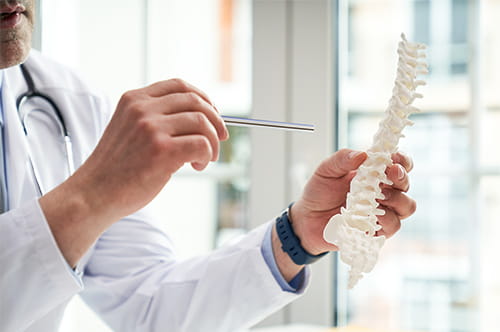 【図解】脊髄損傷レベルの覚え方と症状｜後遺障害等級・慰謝料の相場を解説